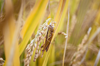VCG41574030385.jpg
