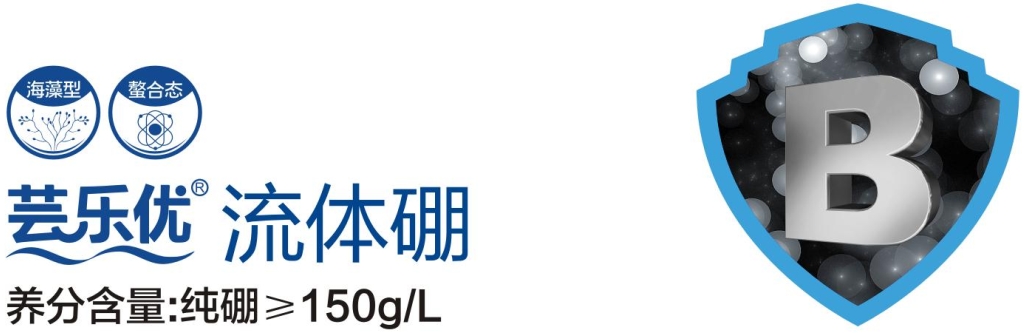芸乐优-流体硼.png