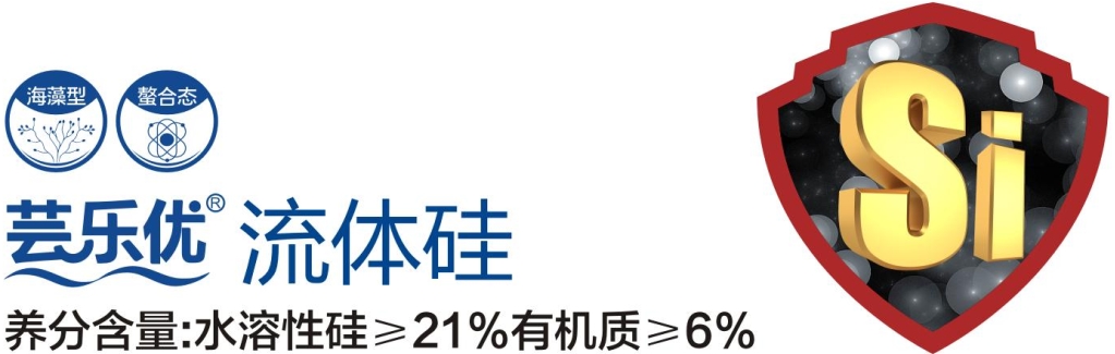 芸乐优 流体硅.png