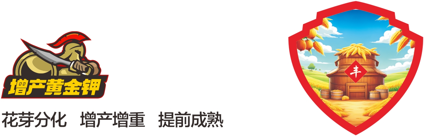 123.png
