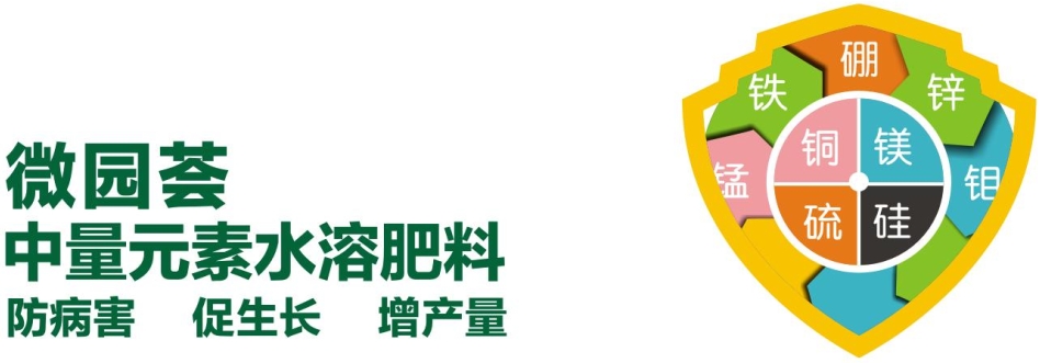 微园荟 中量元素水溶肥料.png