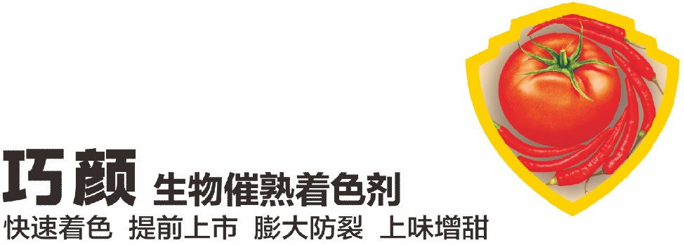 微信截图_20250214155100.png