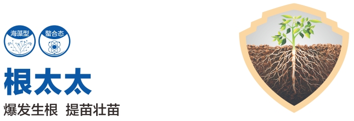 微信截图_20250214155435.png