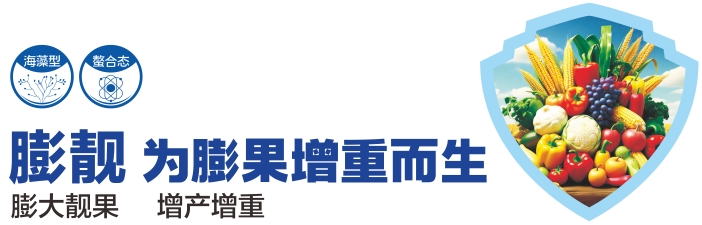 微信截图_20250214160459.png