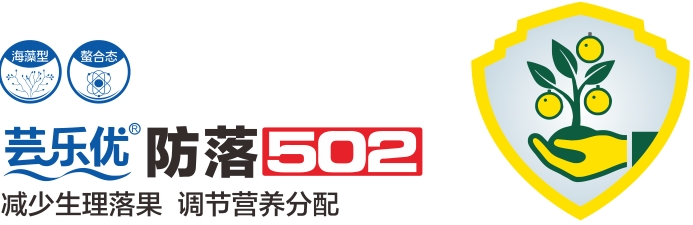微信截图_20250214160645.png