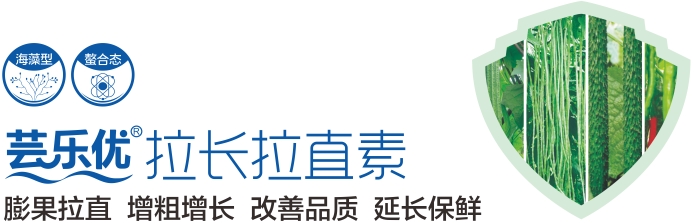 微信截图_20250214160859.png