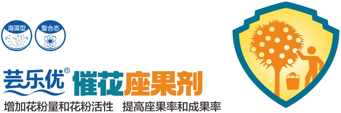 微信截图_20250214161454.png
