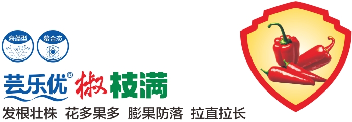 微信截图_20250214162346.png