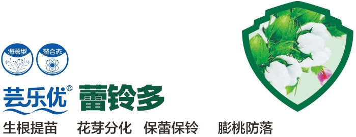 微信截图_20250214162438.png