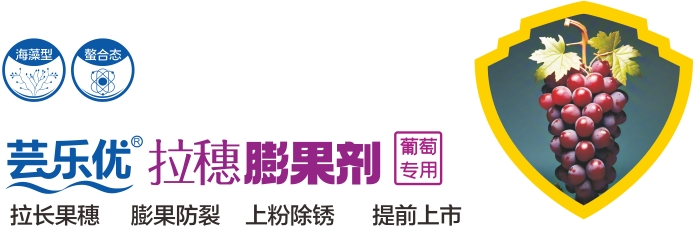 微信截图_20250214220000.png