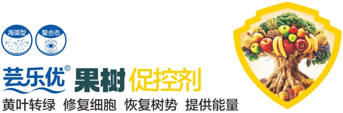 微信截图_20250214220302.png