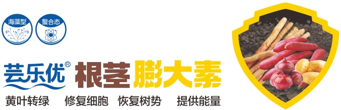 微信截图_20250214220456.png