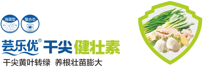 微信截图_20250214220620.png