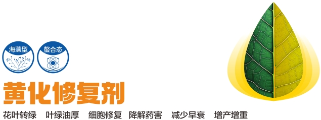 微信截图_20250214220803.png