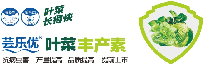 微信截图_20250214220947.png