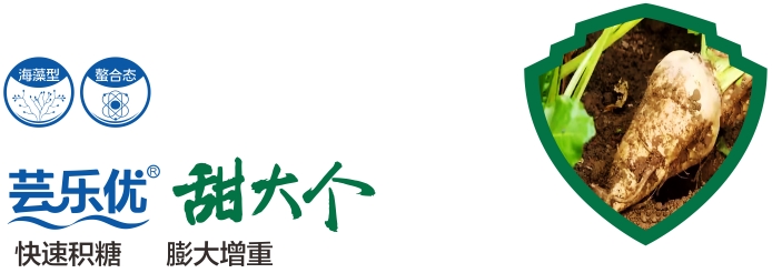 微信截图_20250214221120.png