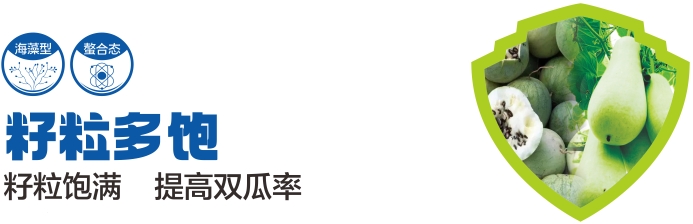 微信截图_20250214221330.png
