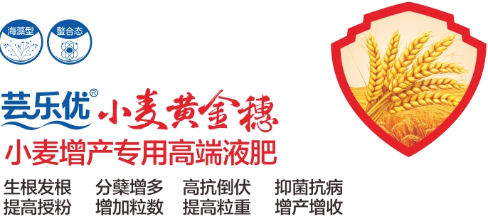 微信截图_20250214221513.png