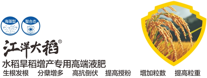 微信截图_20250214221636.png