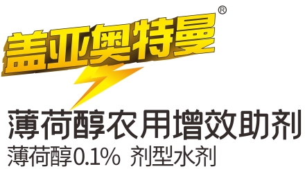 微信截图_20250214222337.png